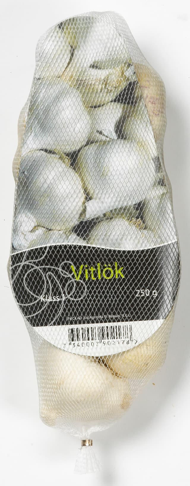 Vitlök