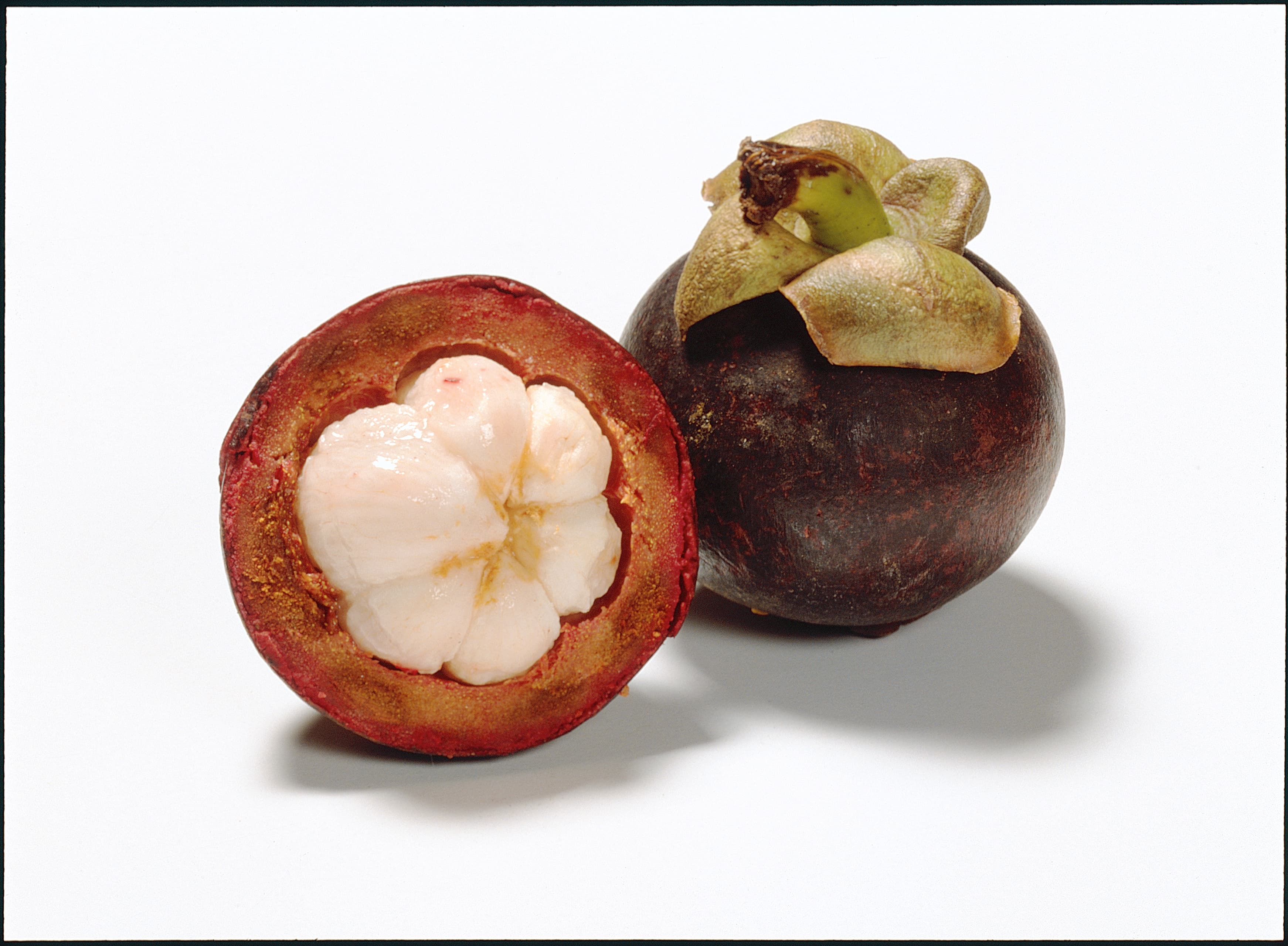 Mangostan