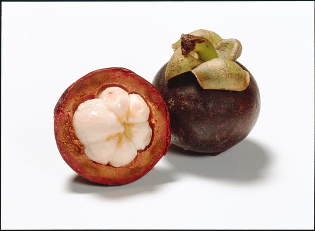 Mangostan