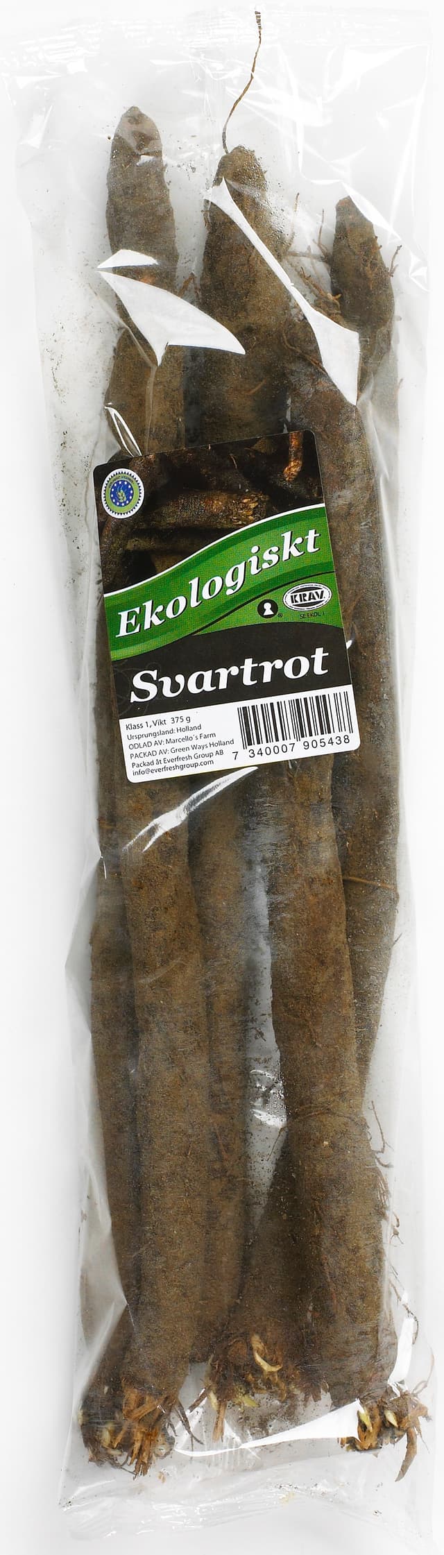 Svartrot