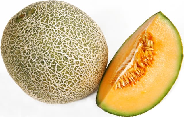 Melon Cantaloupe