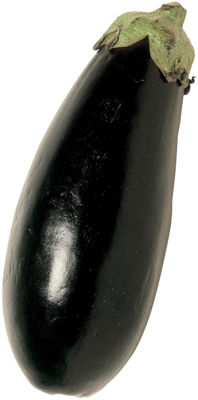 Aubergine