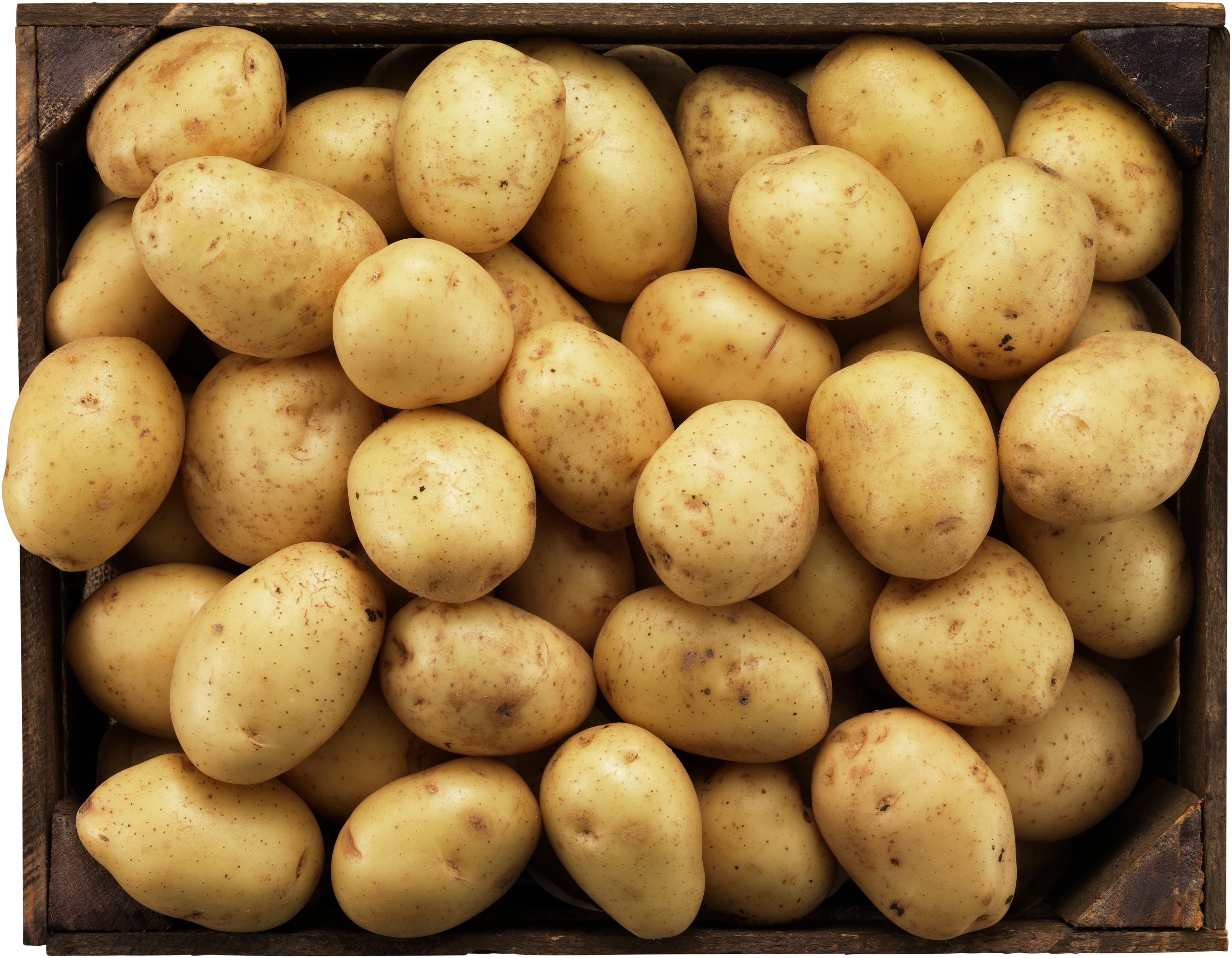 Färskpotatis