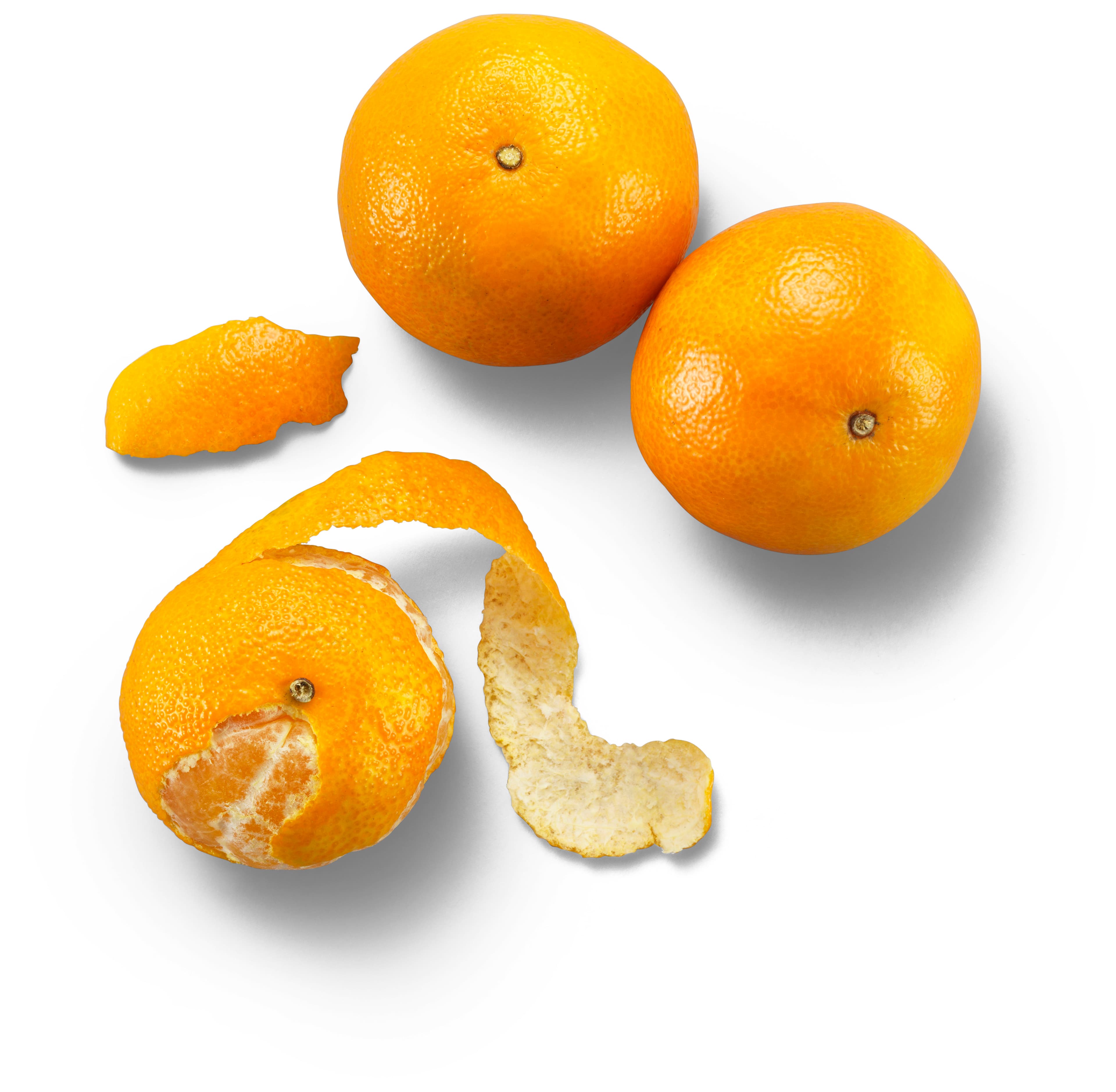 Clementiner
