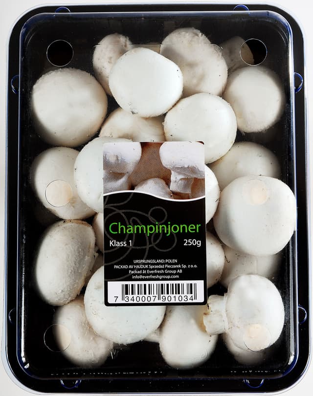 Champinjon