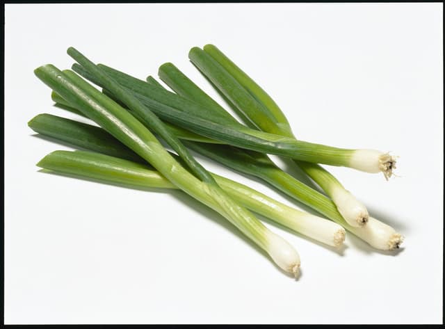 Salladslök