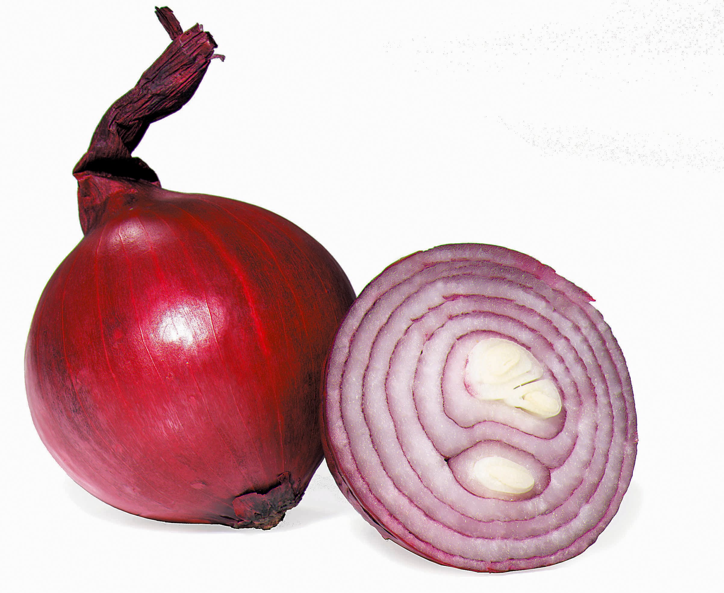 Rödlök Knippe