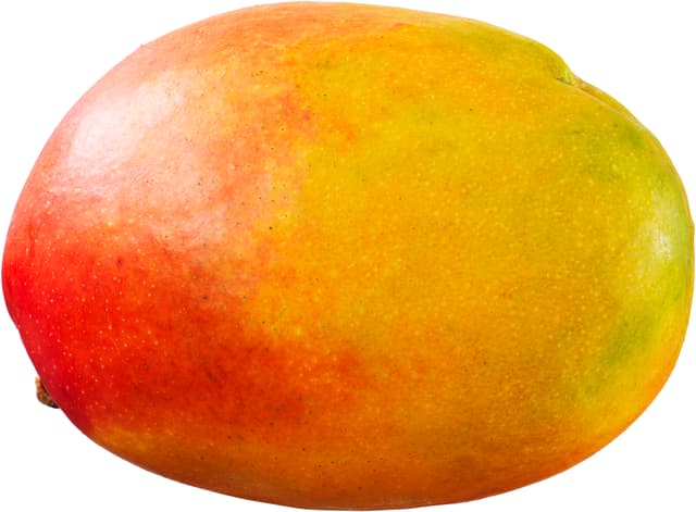 Mango Mogen