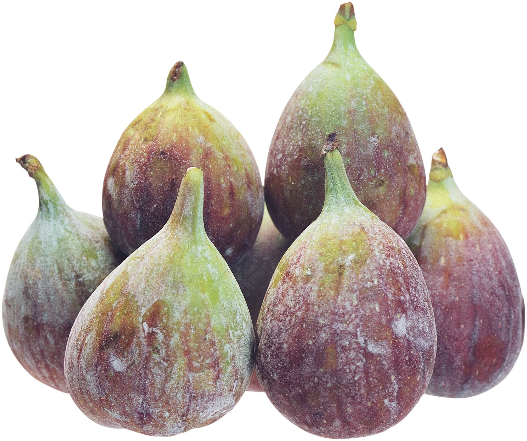 Fikon 4pack