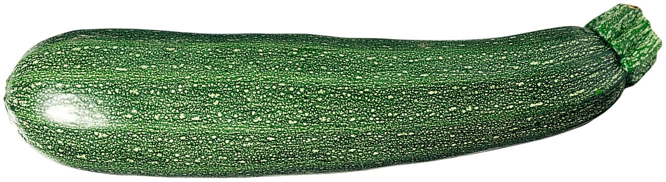 Zucchini