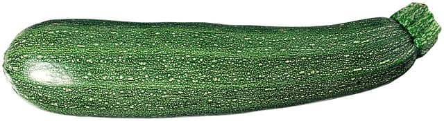 Zucchini