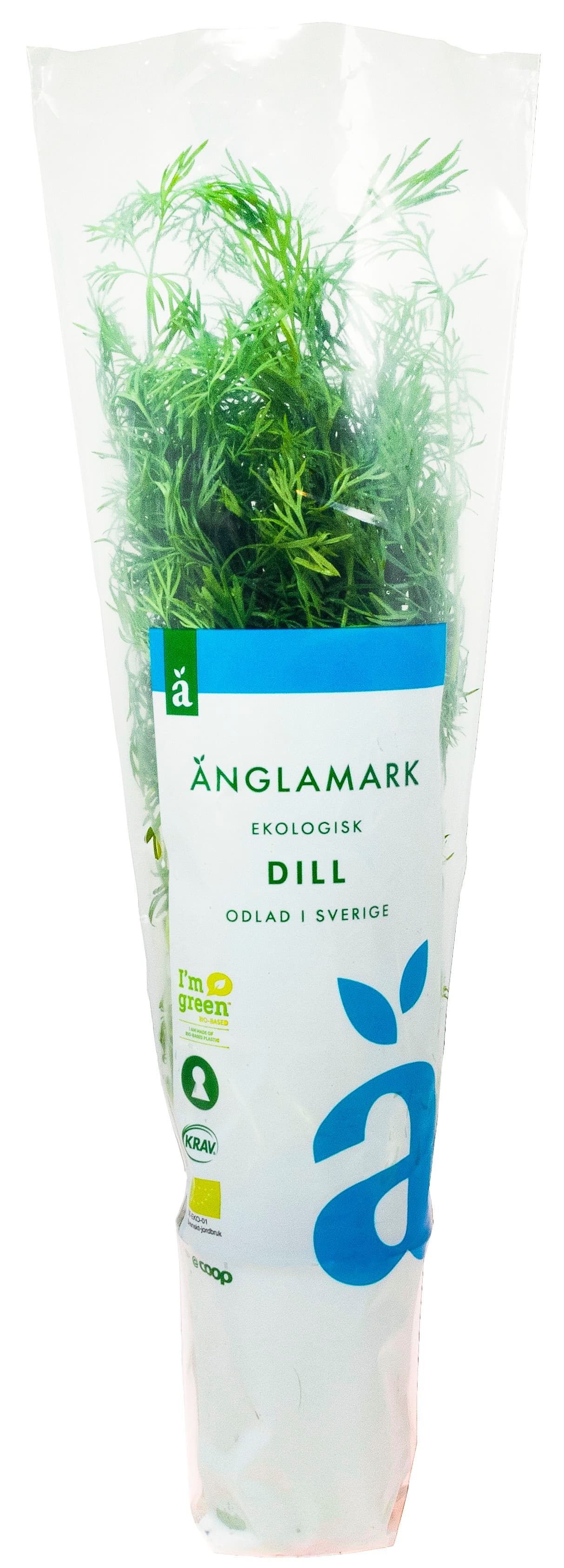 Dill Eko