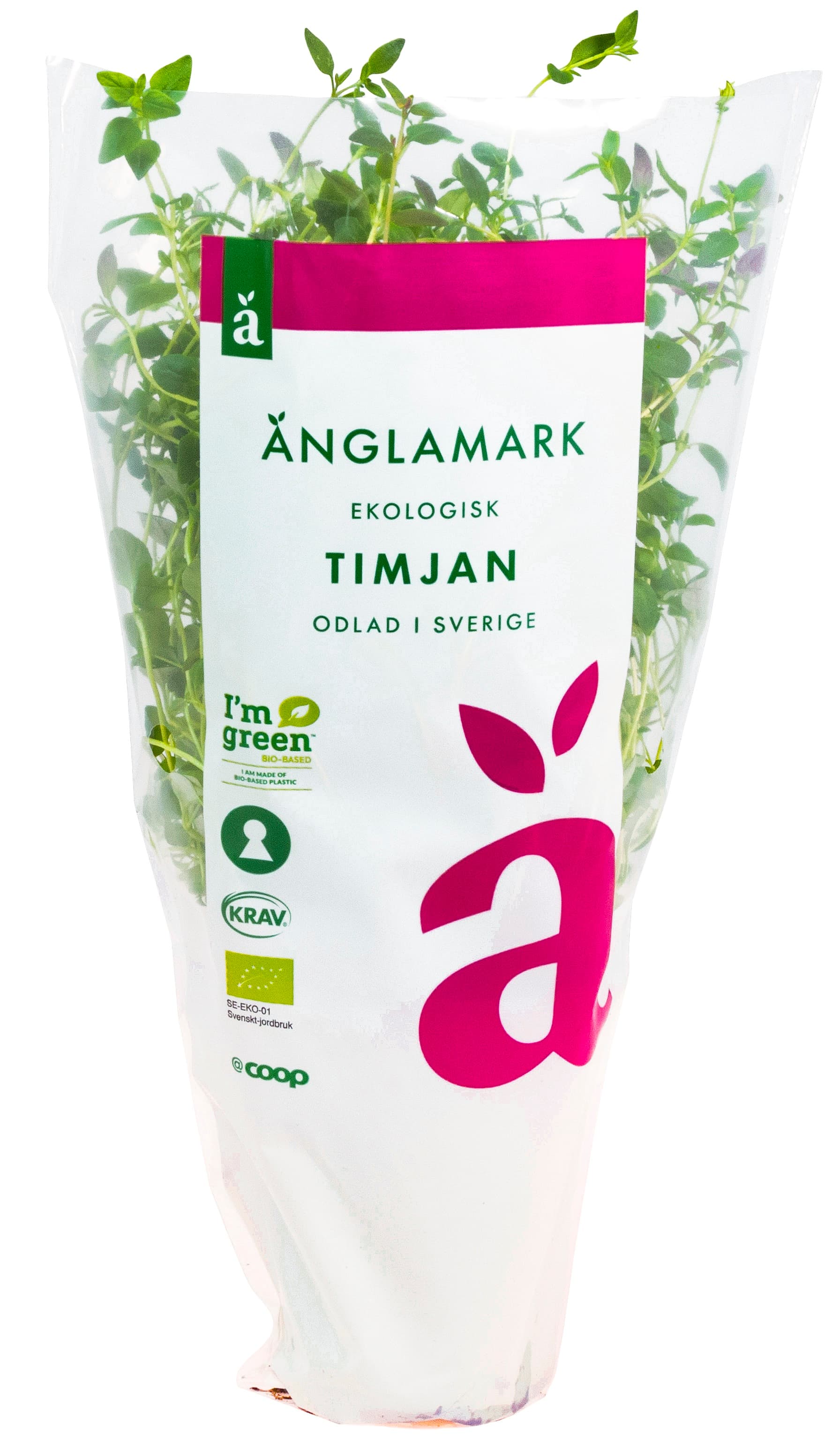 Timjan Eko