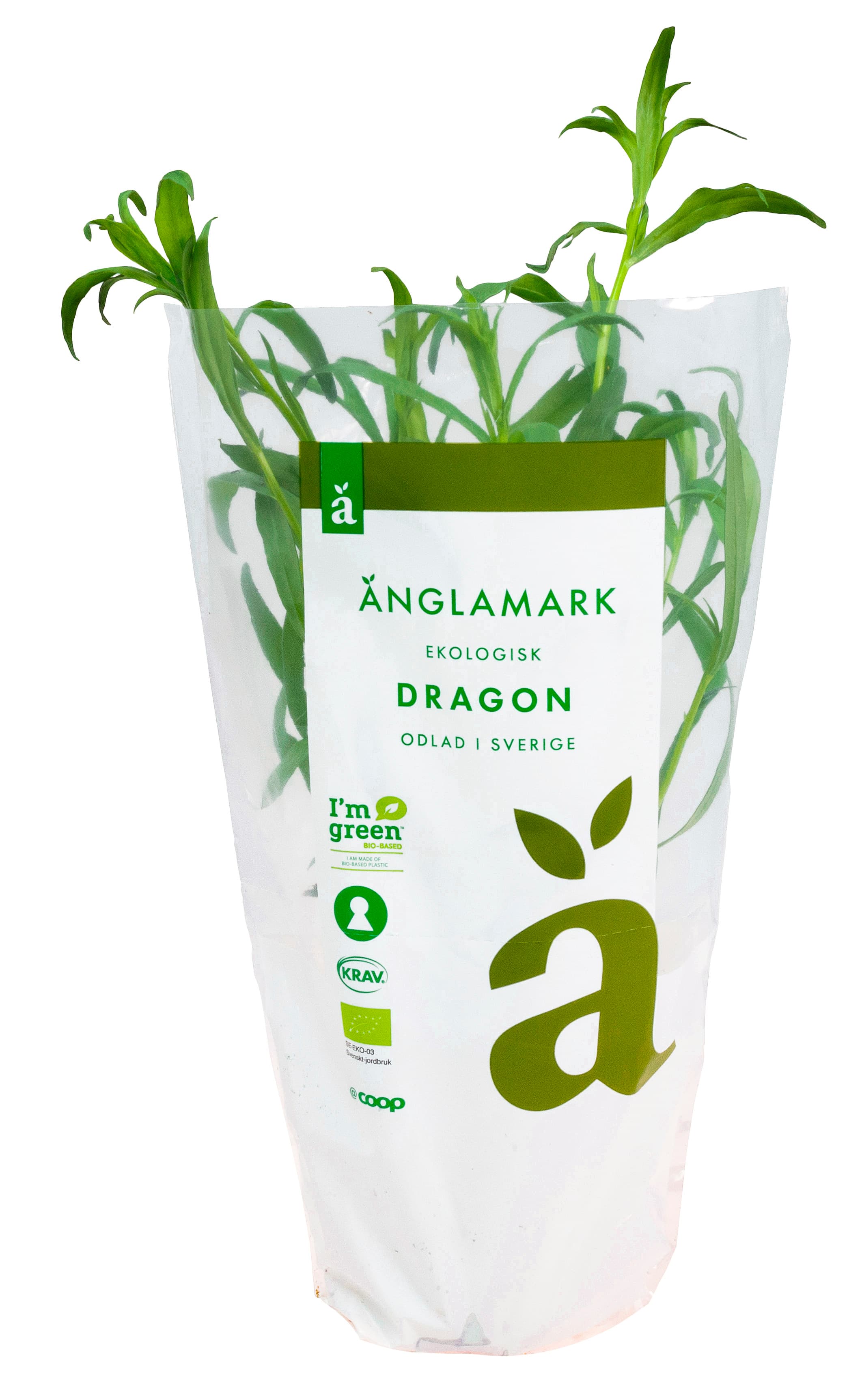 Dragon Kruka Eko