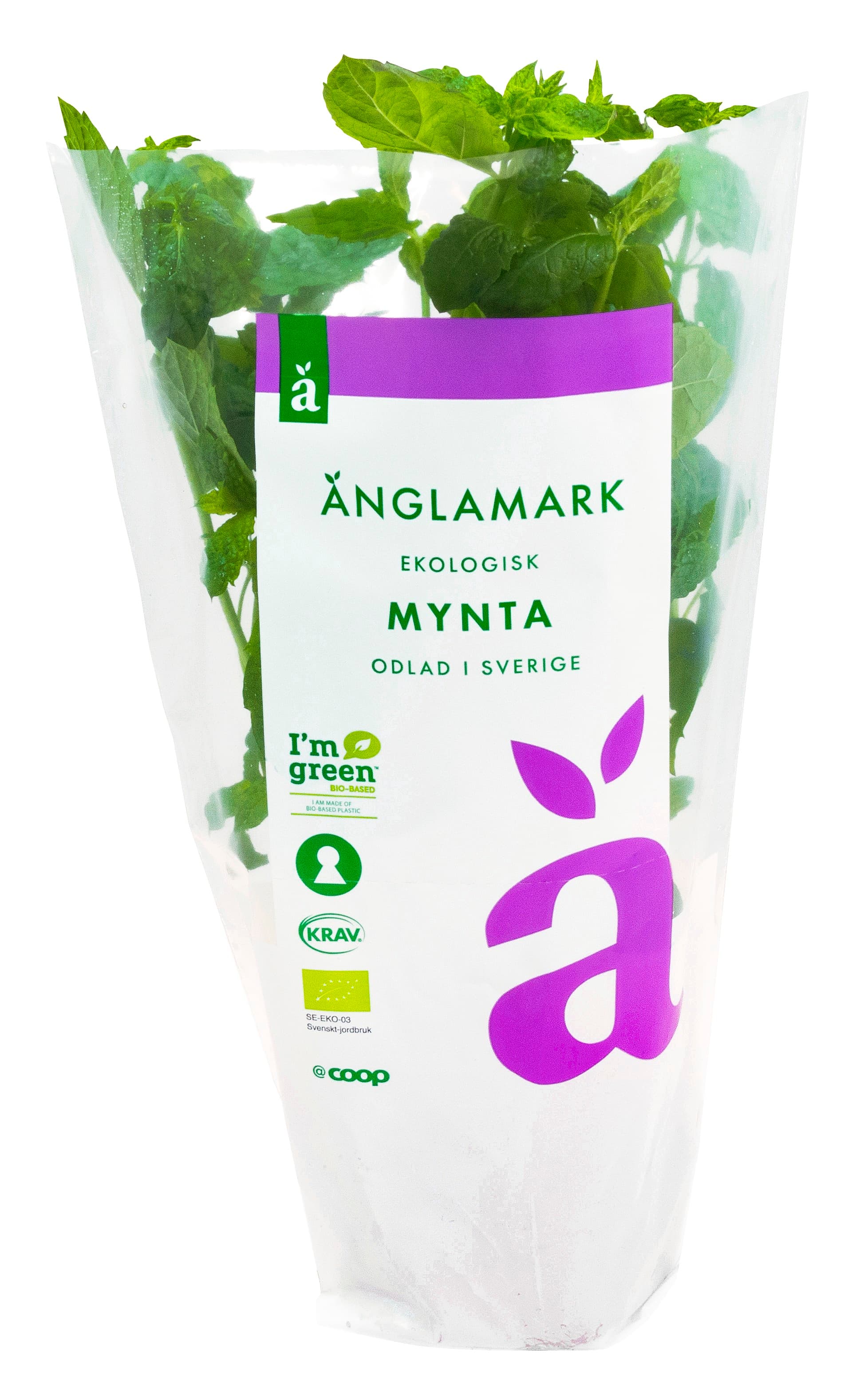Mynta Kruka Eko