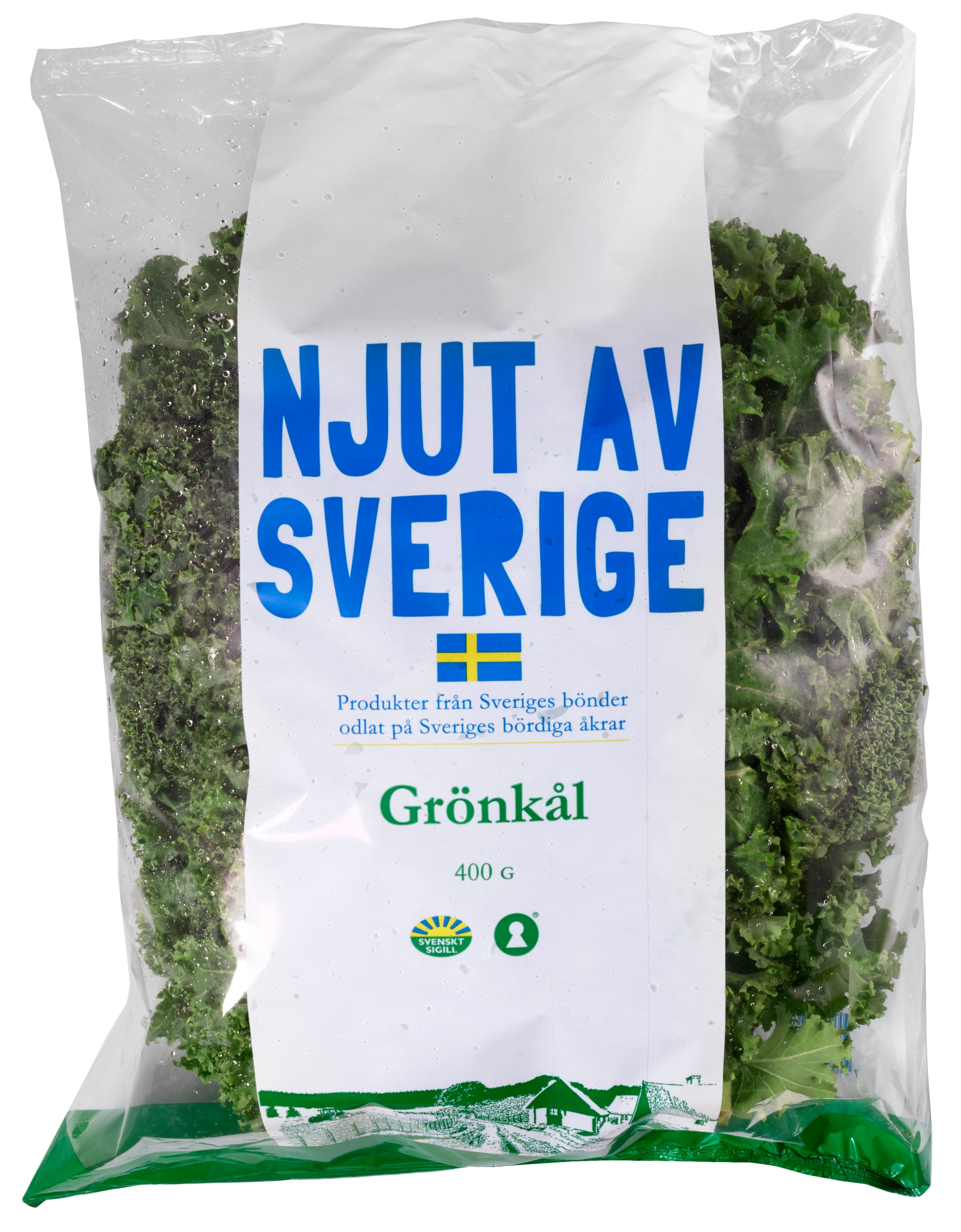 Grönkål