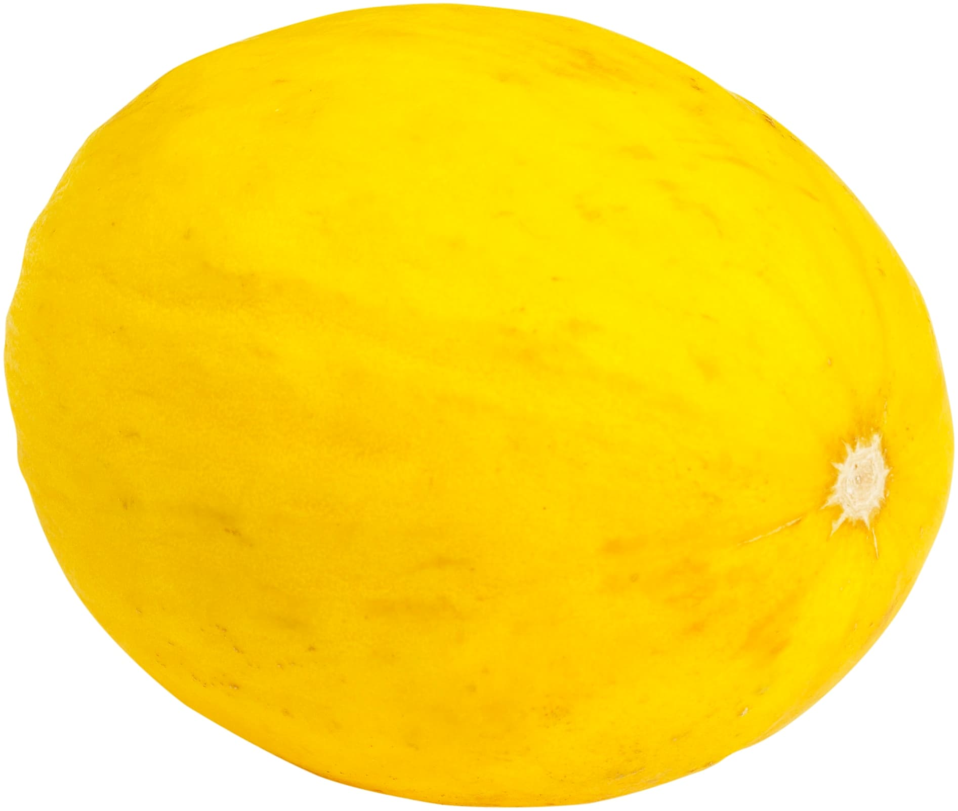 Honungsmelon