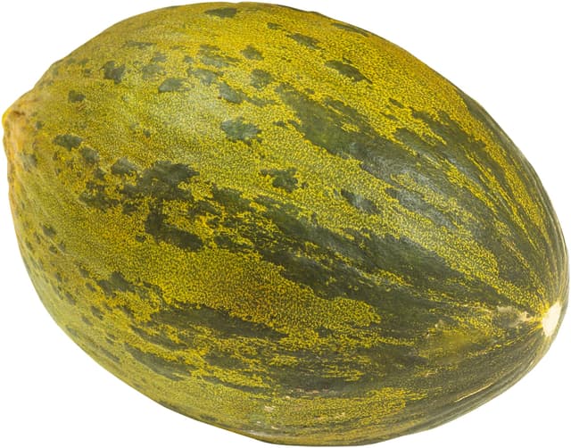 Melon