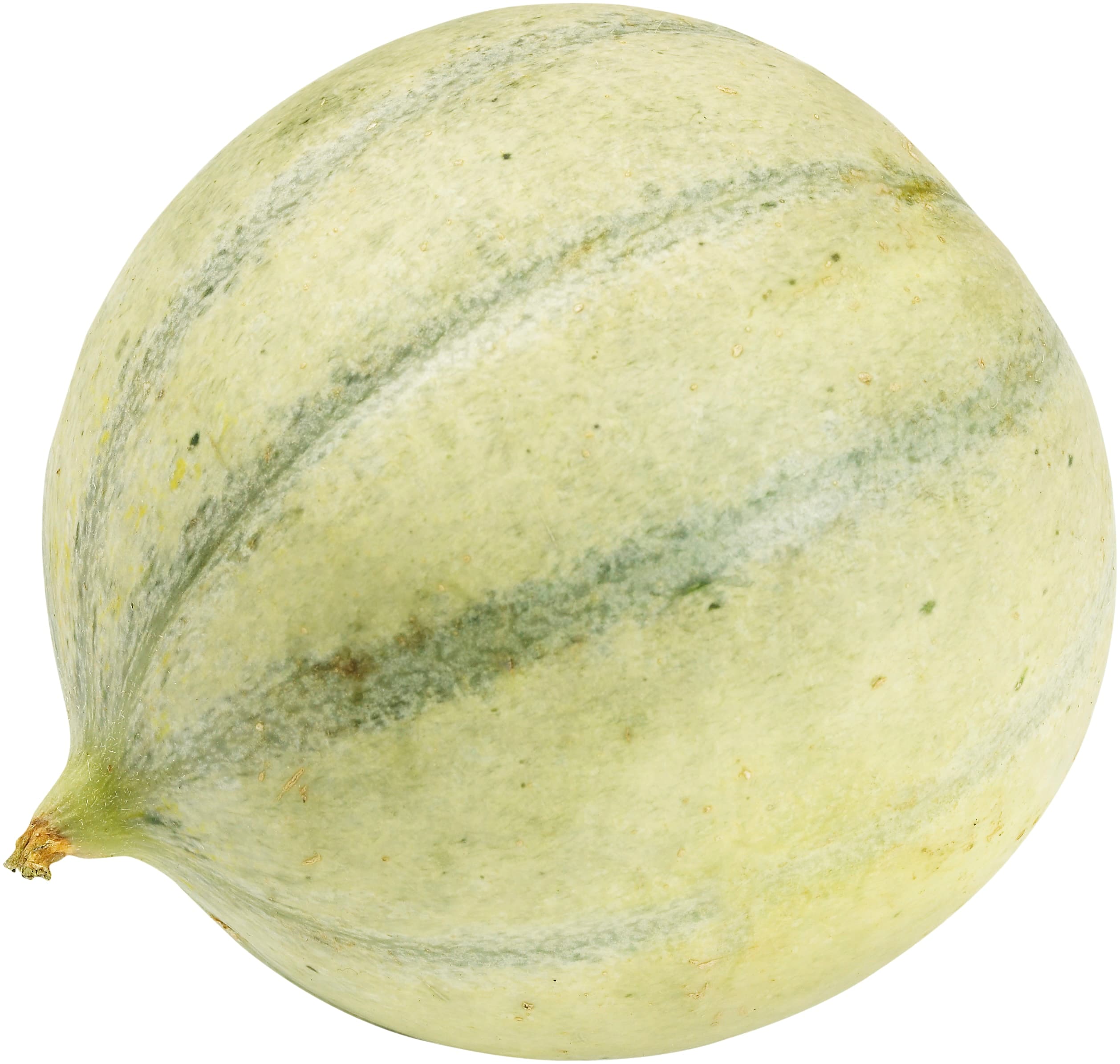 Melon Cantaloupe