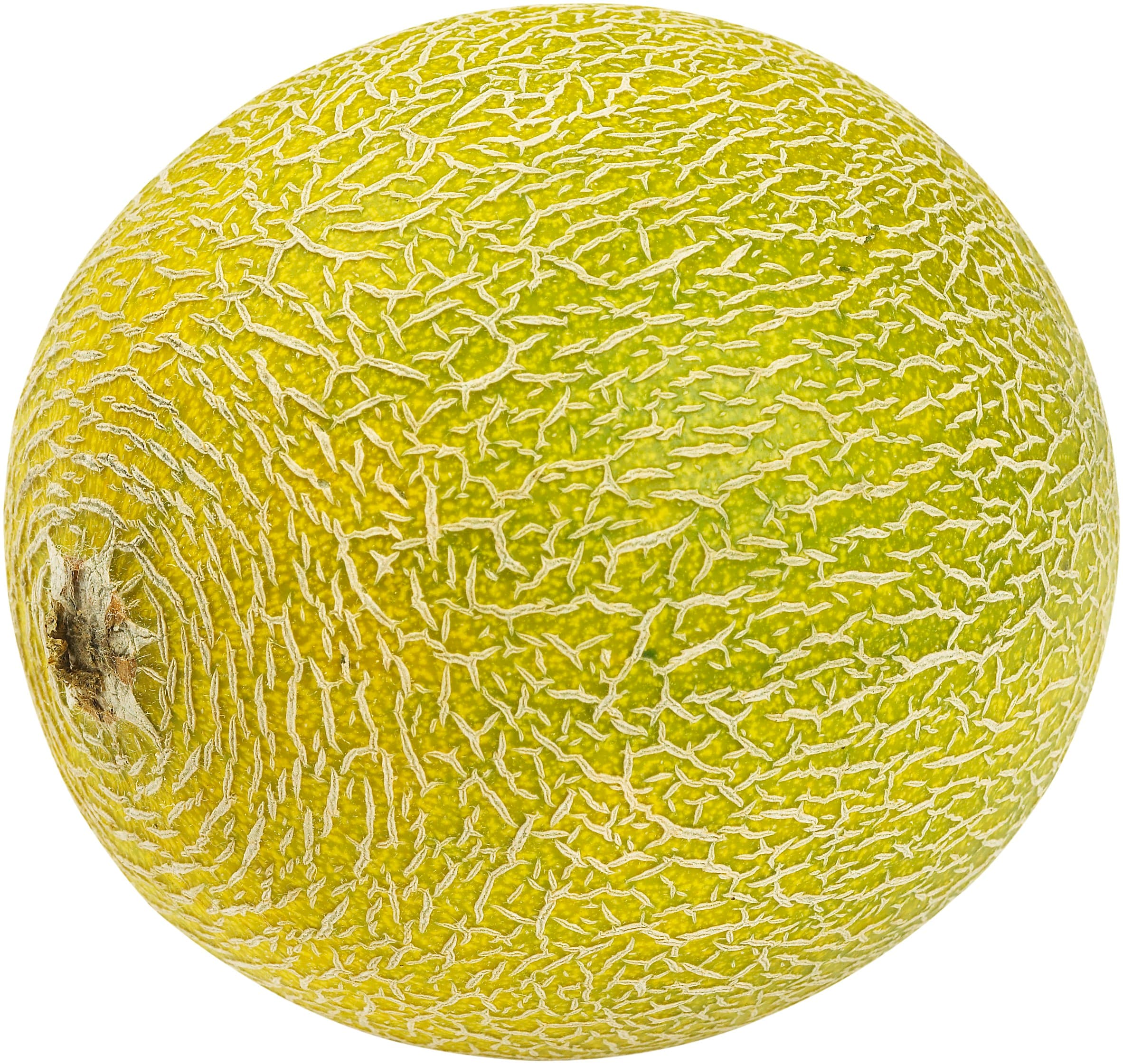 Melon