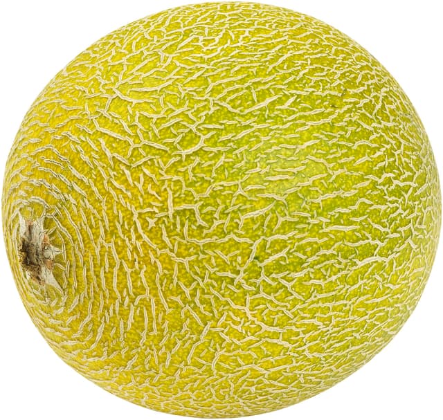 Melon