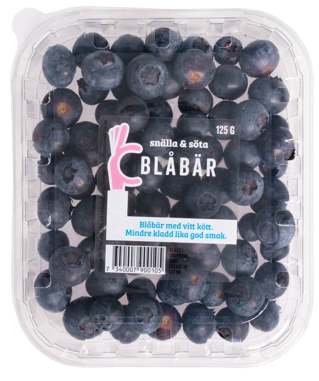 Blåbär