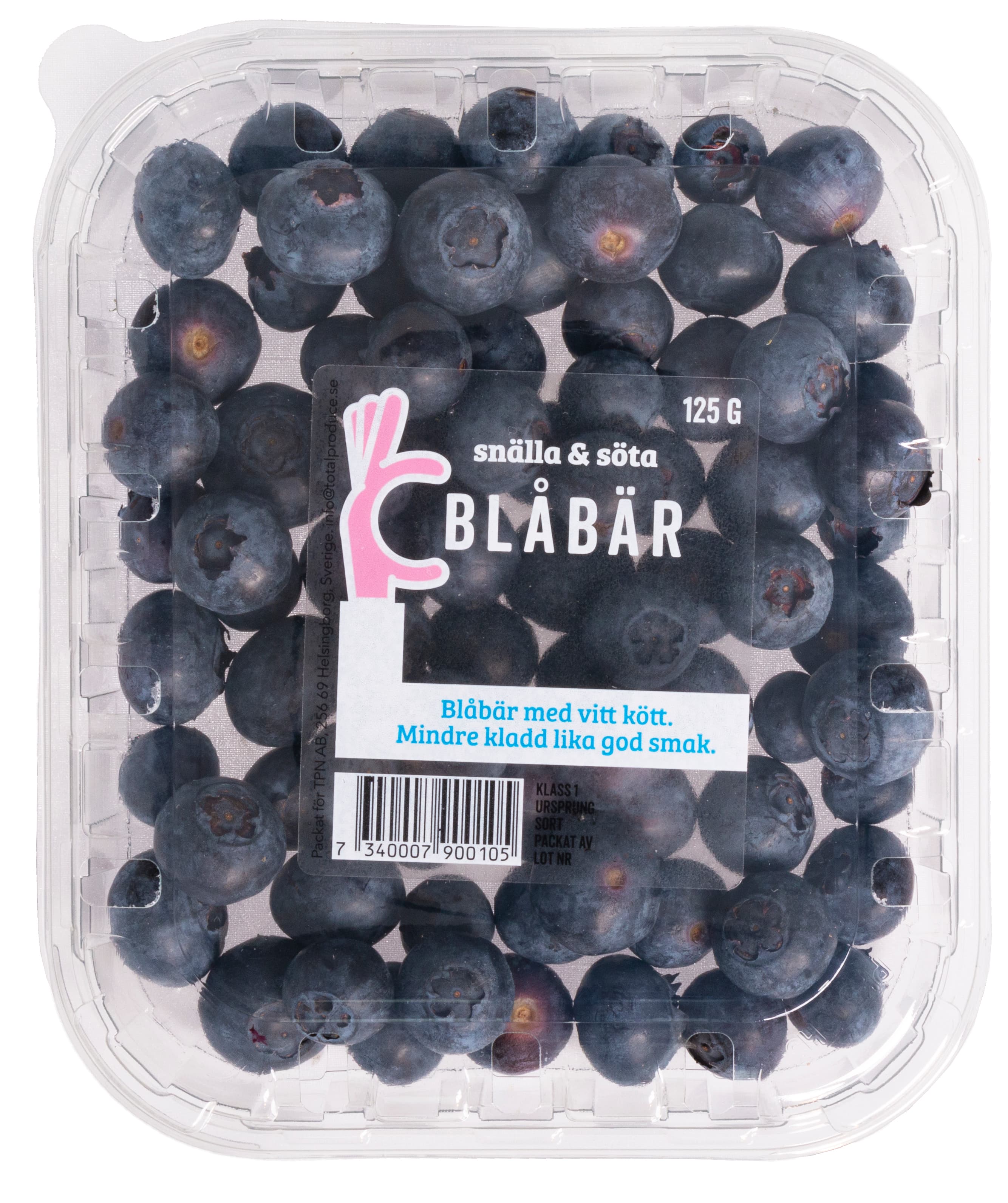 Blåbär