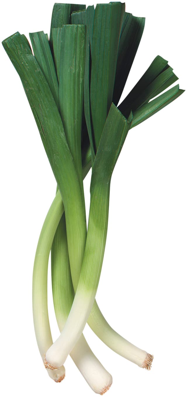 Purjolök
