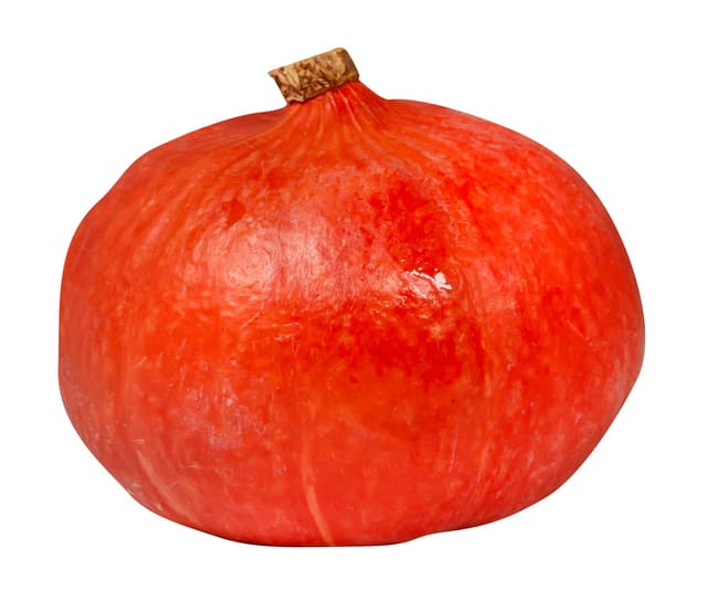 Pumpa
