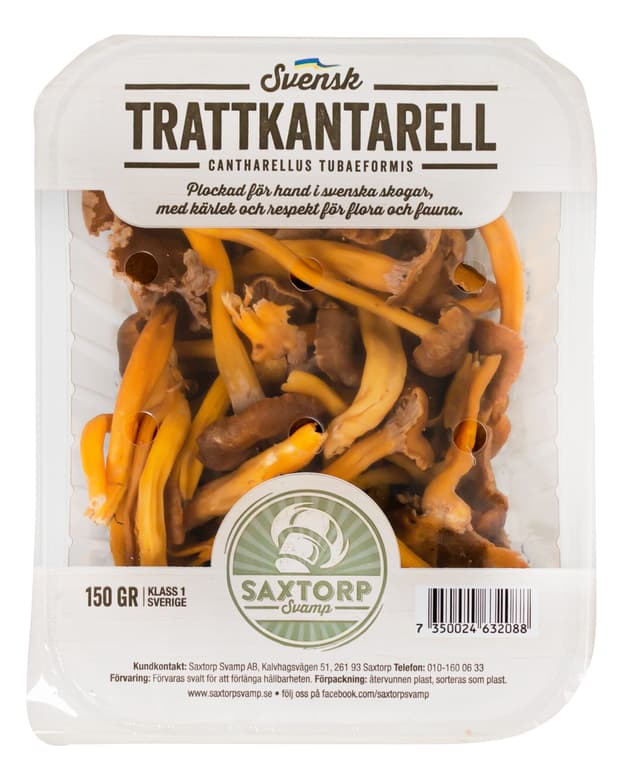 Trattkantareller