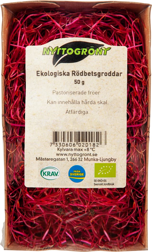 Groddar Rödbeta