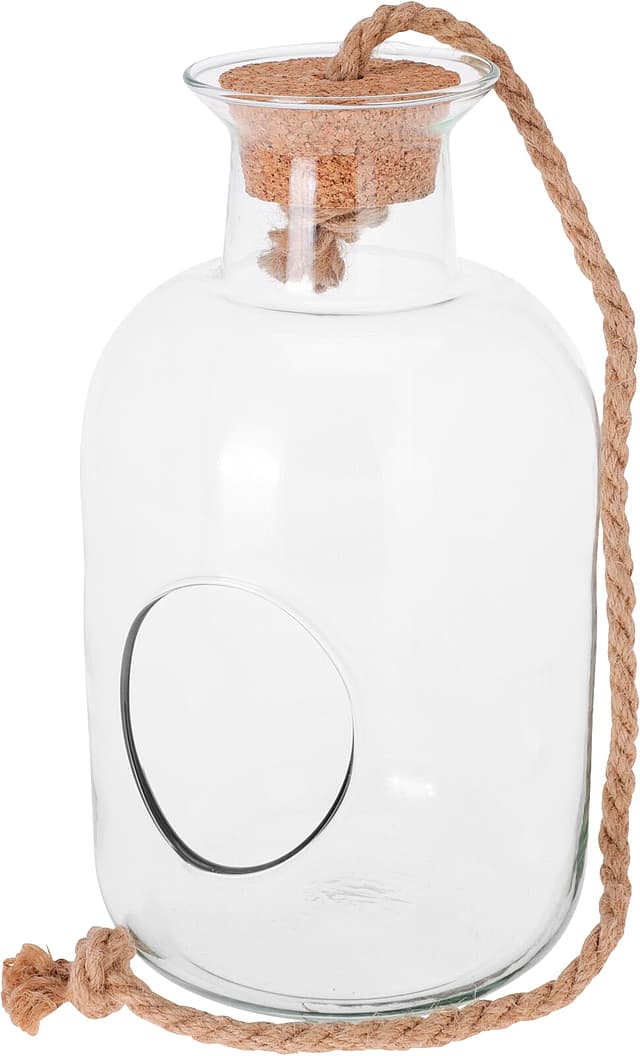 Växtterrarium