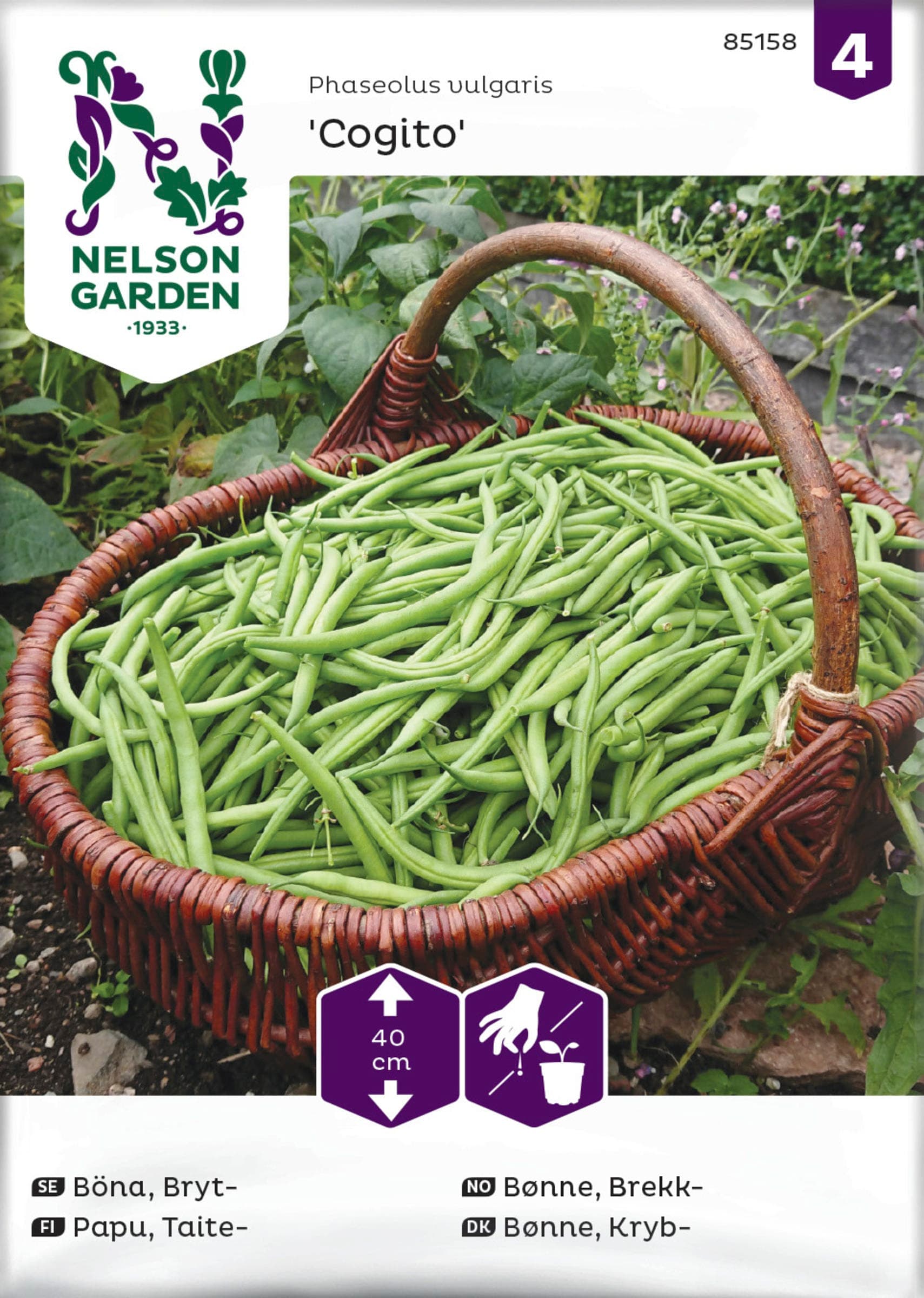 Fröer Brytböna Cogito