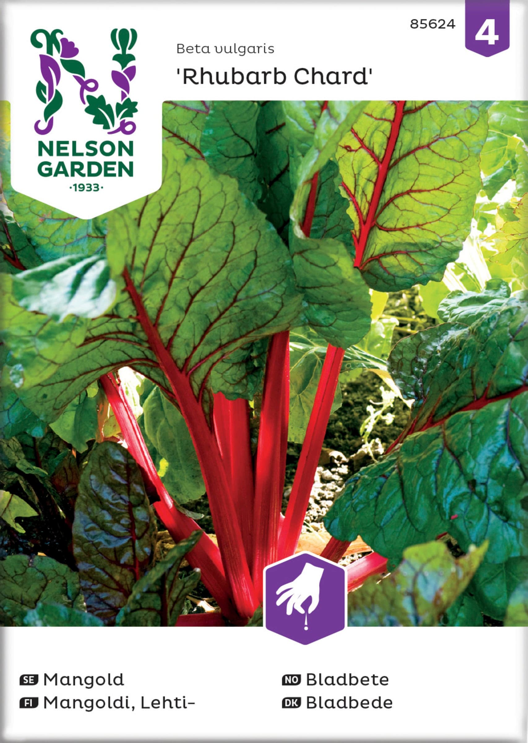 Mangold Rubarb Chard Röd