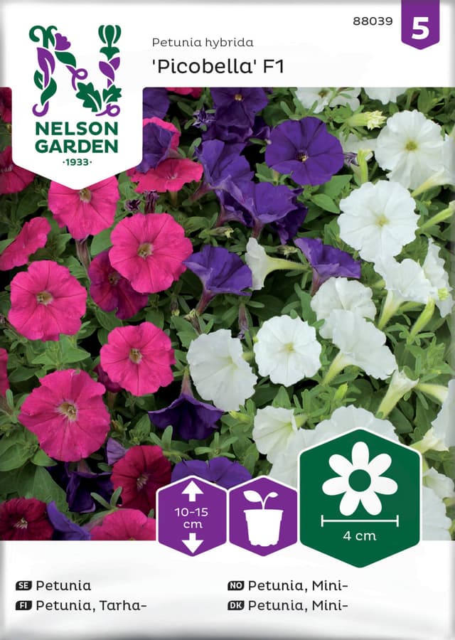 Fröer Petunia