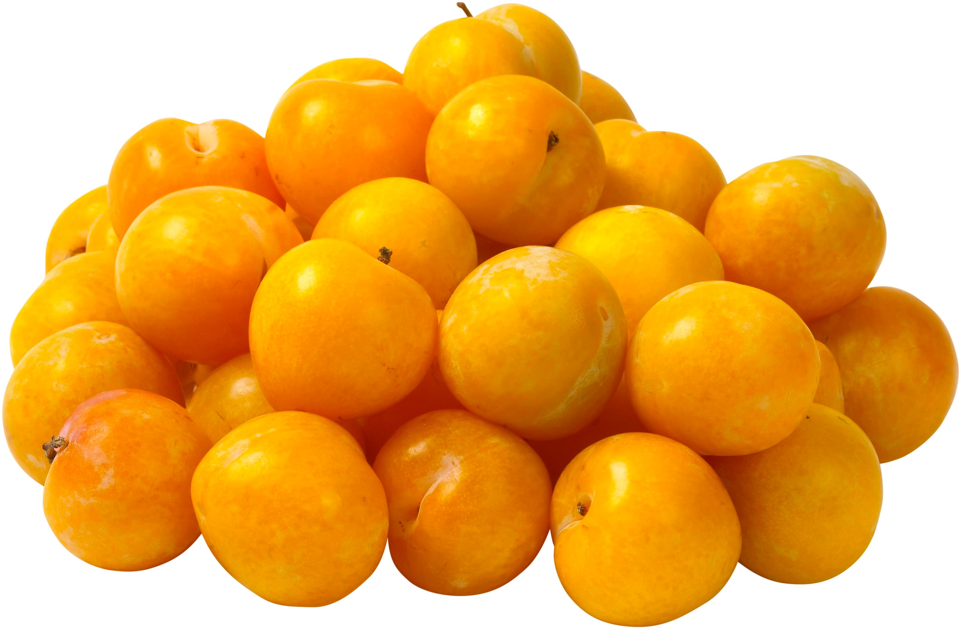 Plommon Gula