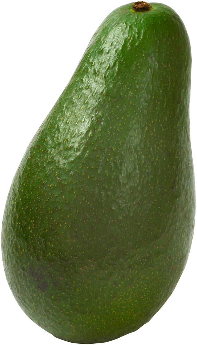 Avocado Stor