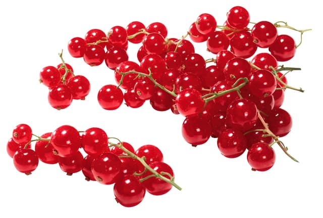 Röda Vinbär