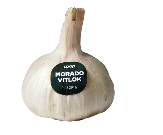 Vitlök