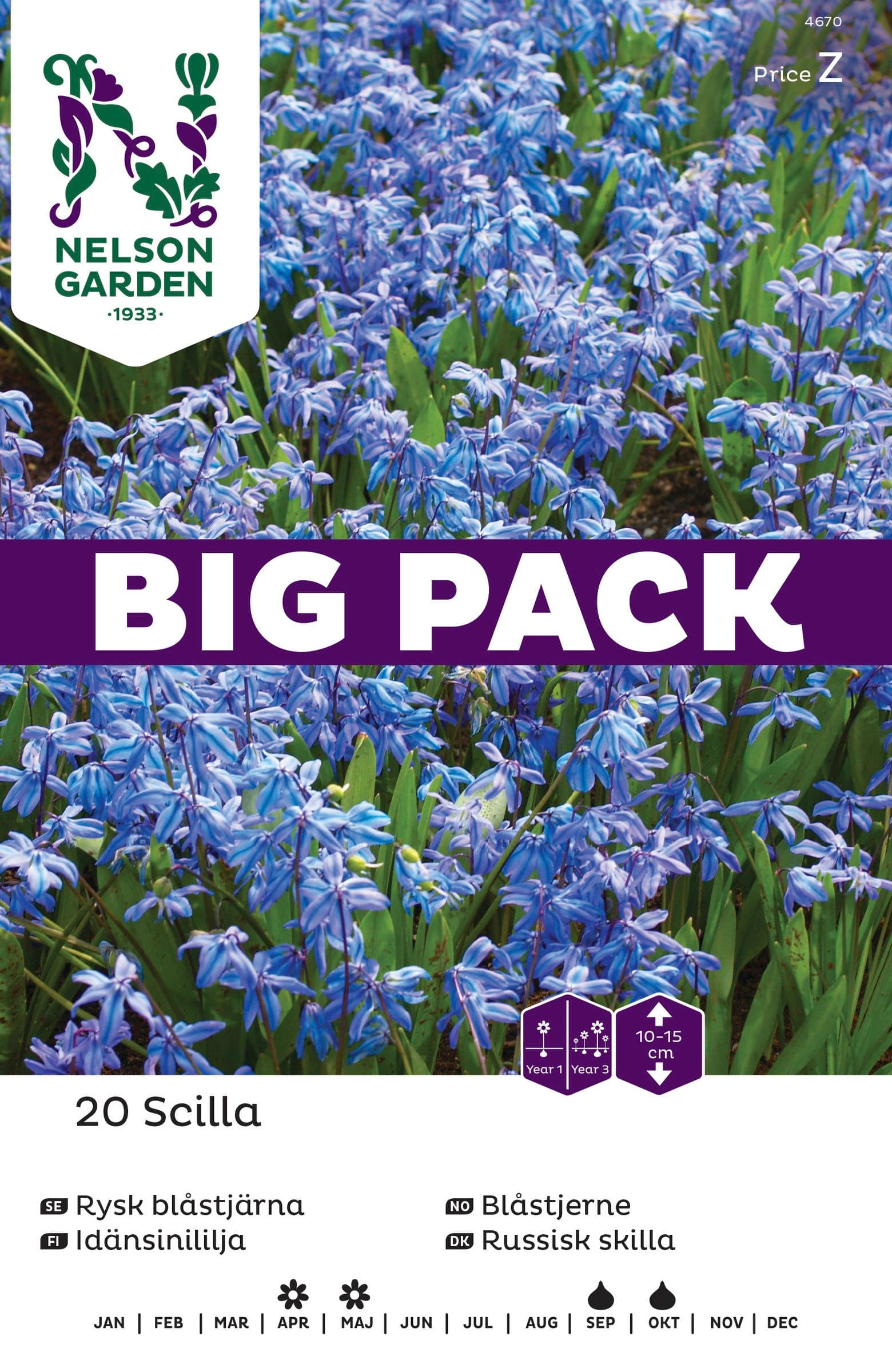 Höstlök Rysk Blåstjärna BigPack