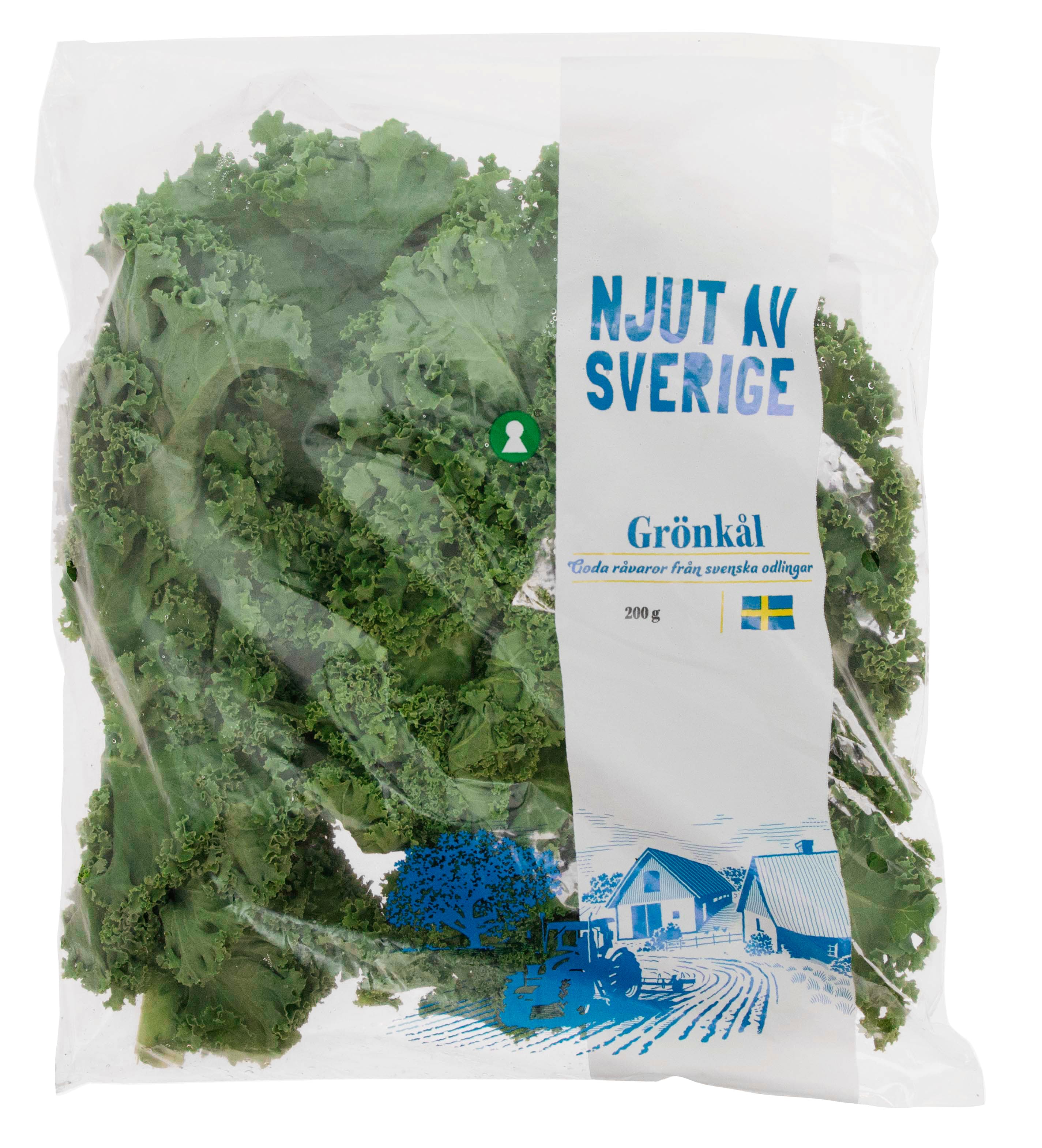 Grönkål