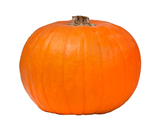 Pumpa Halloween