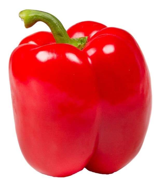 Paprika Röd