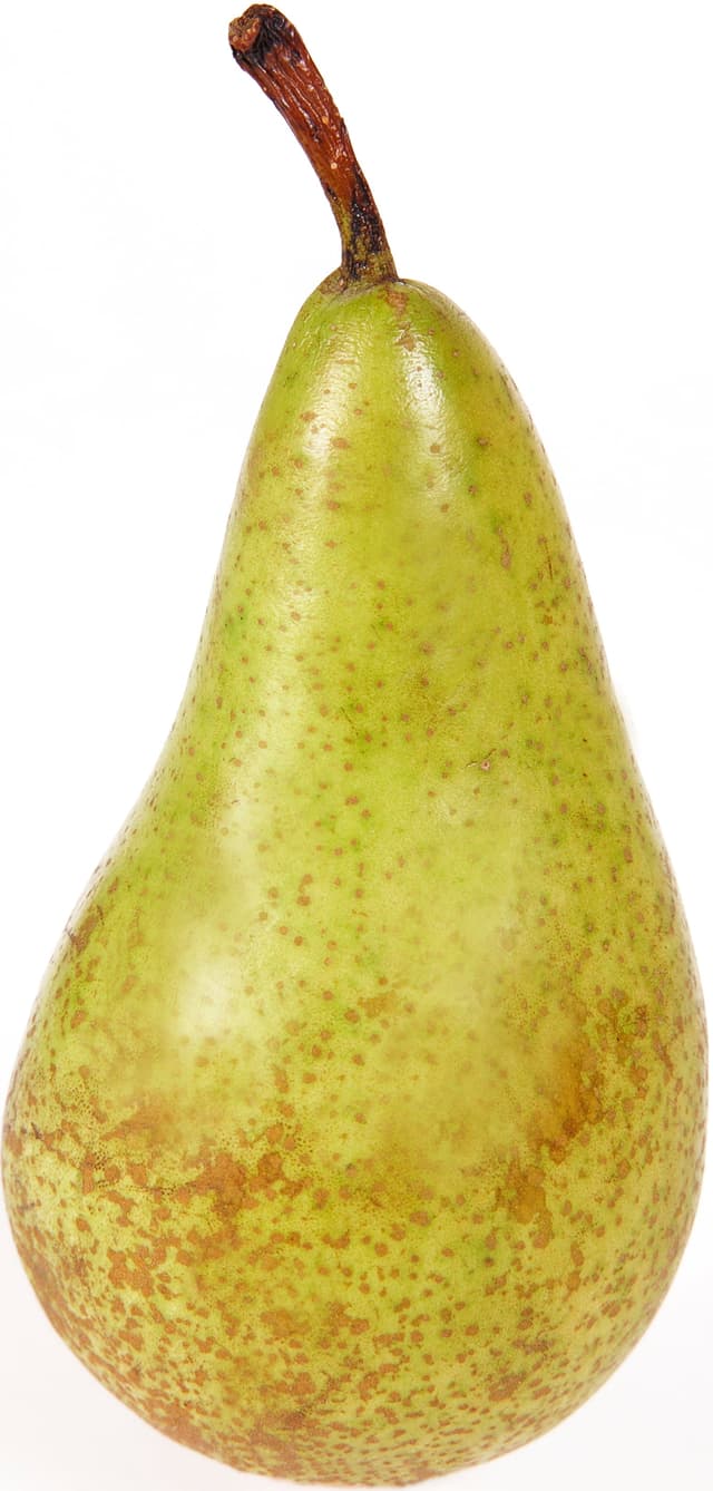 Päron