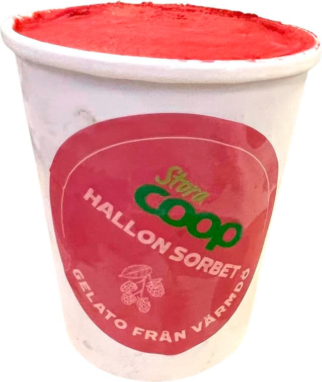 Hallon Sorbet