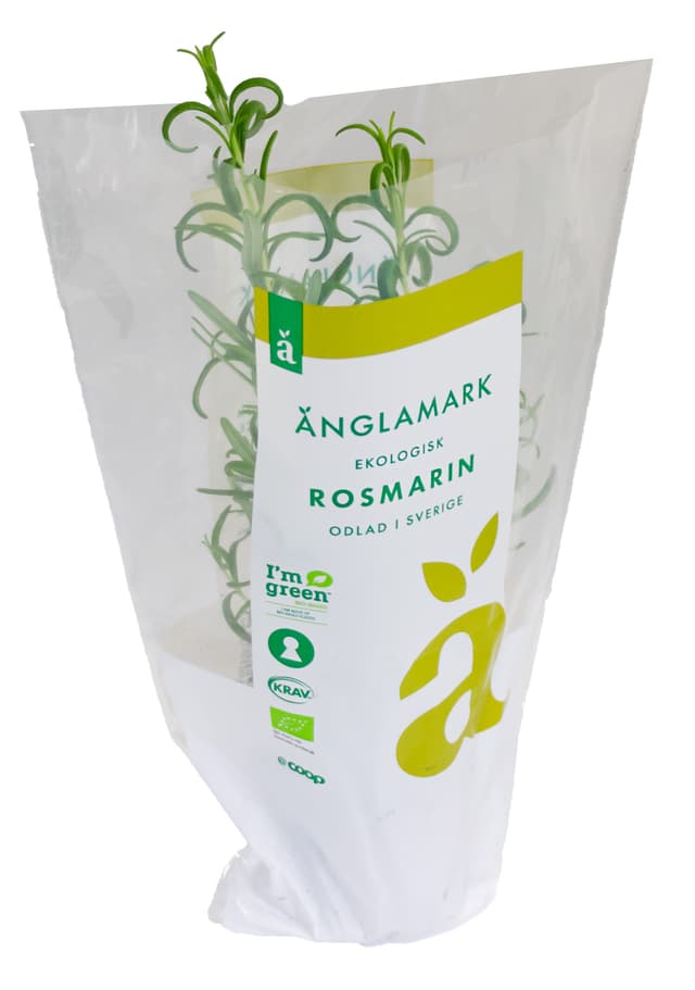 Rosmarin Eko