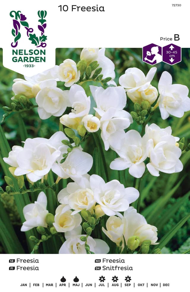 Vårlök Freesia Dubbel Vit