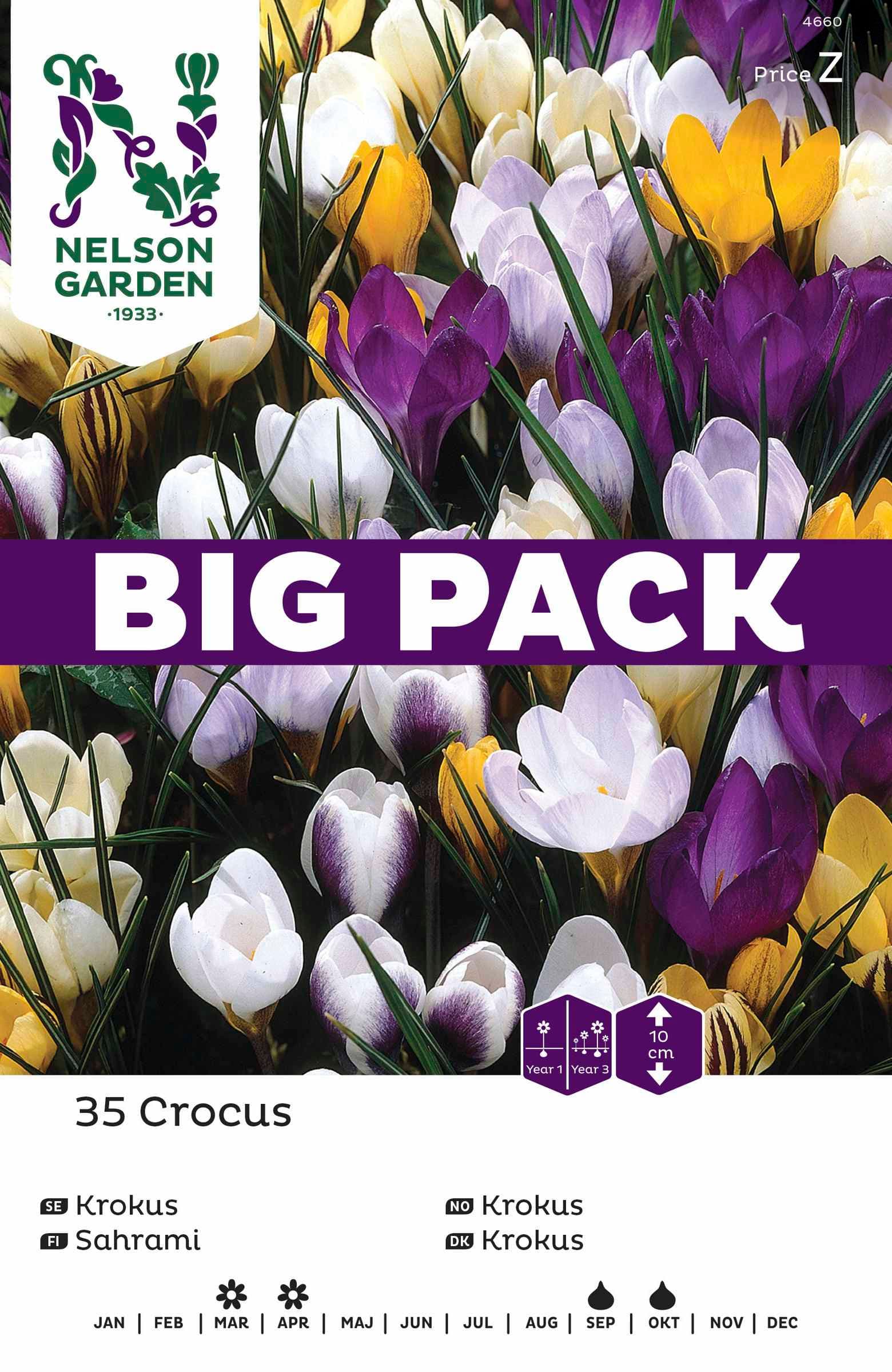 Höstlök Krokus Mix Bigpack