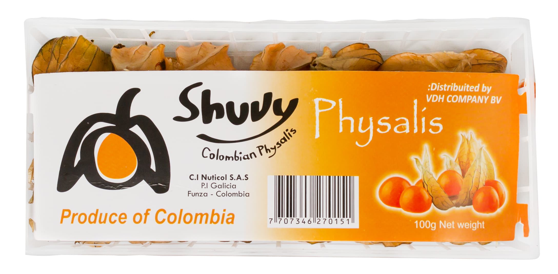 Physalis