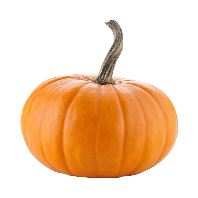 Pumpa